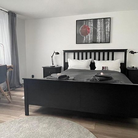 Apartment Im Gruendle 比肯费尔德 外观 照片