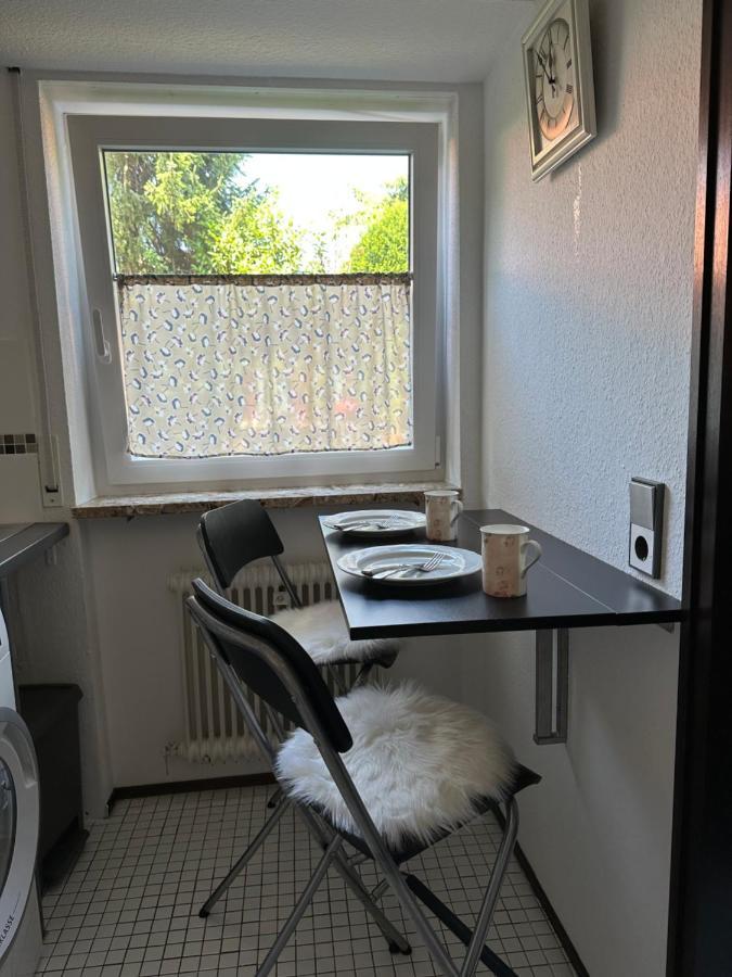 Apartment Im Gruendle 比肯费尔德 外观 照片