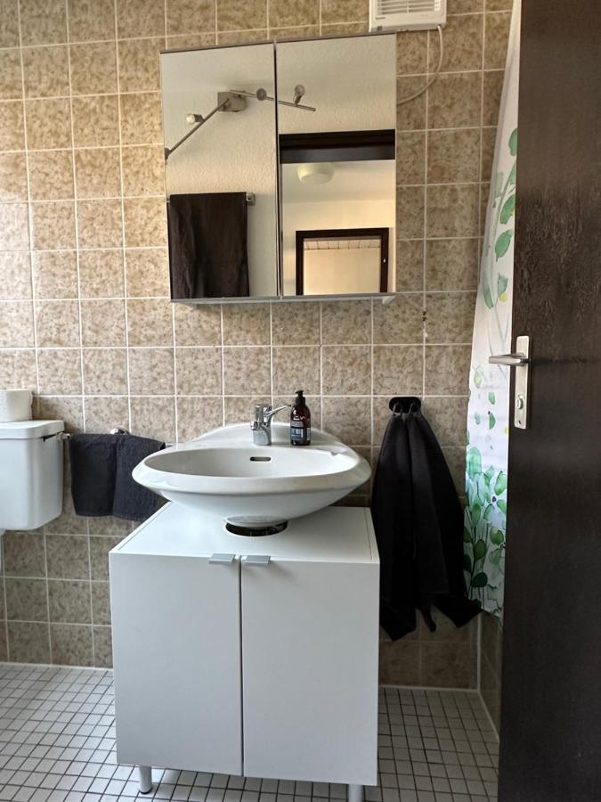 Apartment Im Gruendle 比肯费尔德 外观 照片